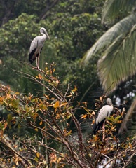 IMG_1762b